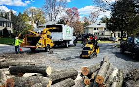 Best Pest Control for Lawns  in Falmouth Foreside, ME